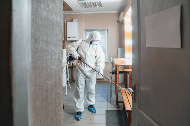 Best Crawl Space Mold Remediation  in Westhaven Moonstone, CA