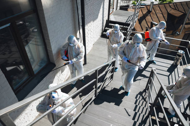 Best Real Estate Mold Inspection  in Westhaven Moonstone, CA