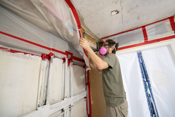 Best Mold Damage Restoration  in Westhaven Moonstone, CA