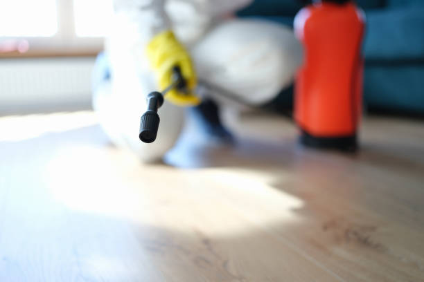 Best Biohazard Mold Removal  in Westhaven Moonstone, CA