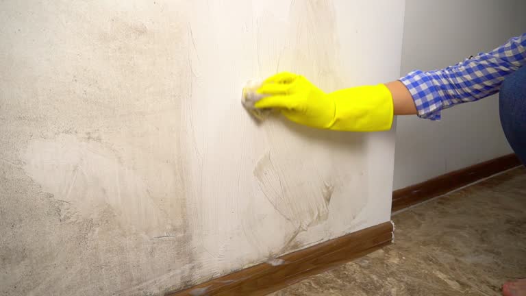 Best Basement Mold Removal  in Westhaven Moonstone, CA