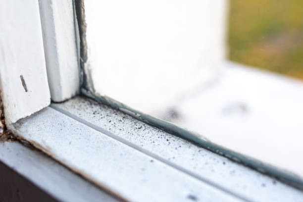 Asbestos and Lead Testing During Mold Inspection in Westhaven Moonstone, CA