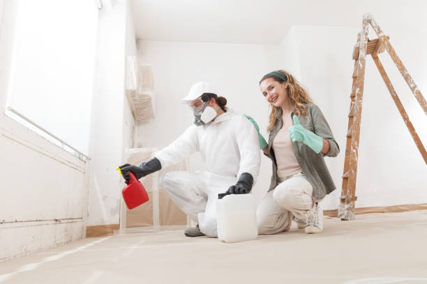  Westhaven Moonstone, CA Mold Removal Pros