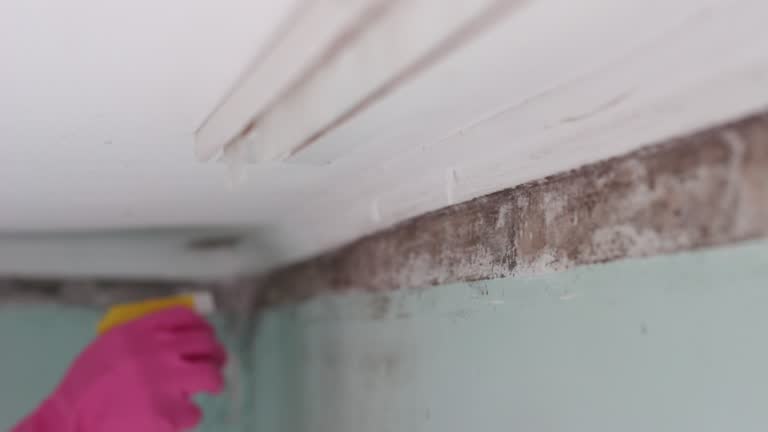 Best Dehumidification Services  in Westhaven Moonstone, CA